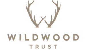 Wildwood logo