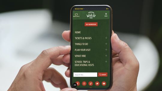 iphone device mockup
