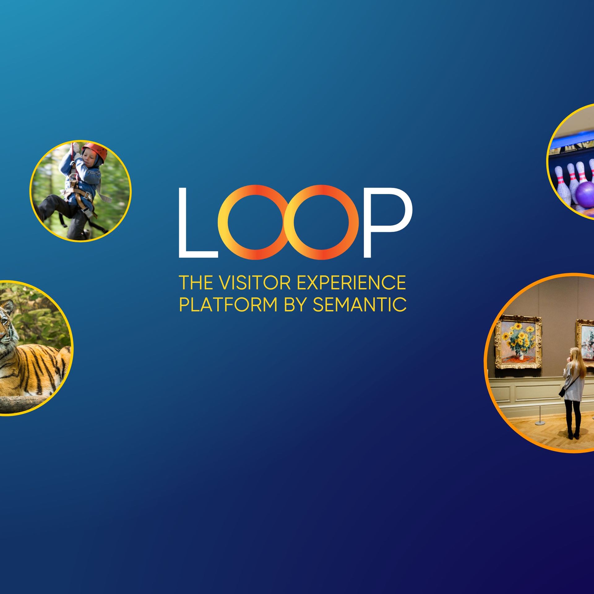 LOOP Montage Attractions Websites